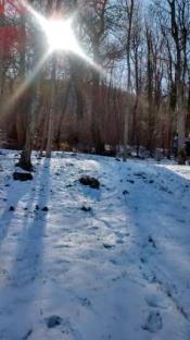 2015-02-08 12.03.19.jpg